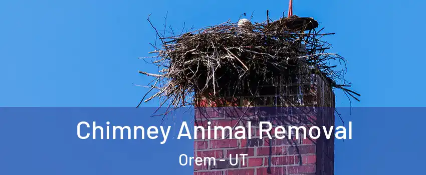  Chimney Animal Removal Orem - UT