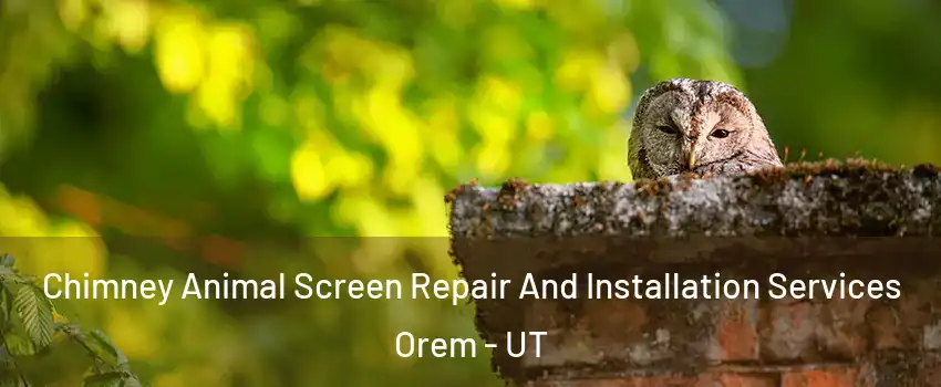  Chimney Animal Screen Repair And Installation Services Orem - UT