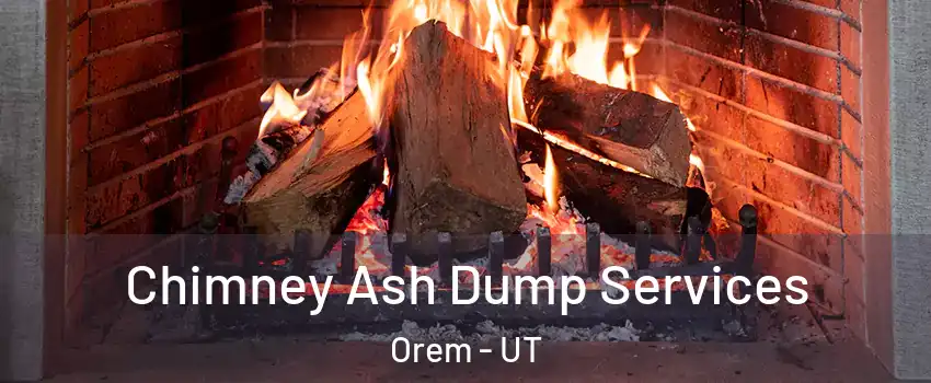  Chimney Ash Dump Services Orem - UT