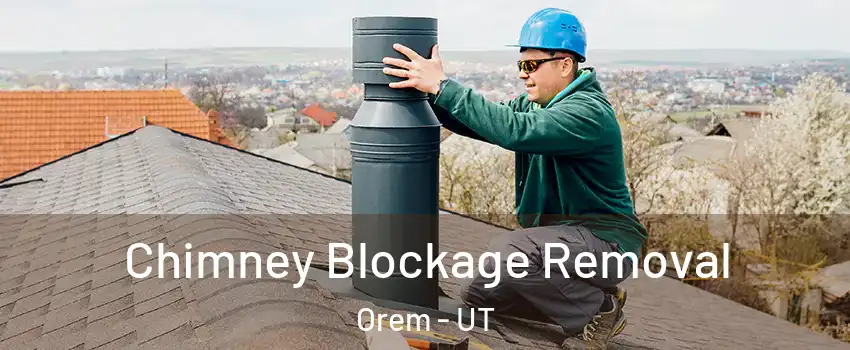  Chimney Blockage Removal Orem - UT