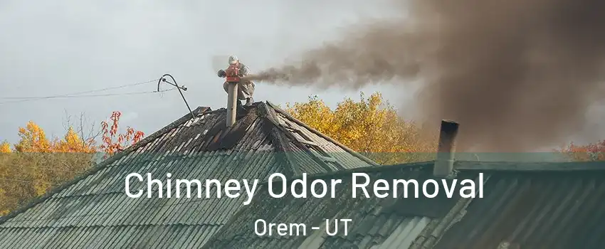  Chimney Odor Removal Orem - UT