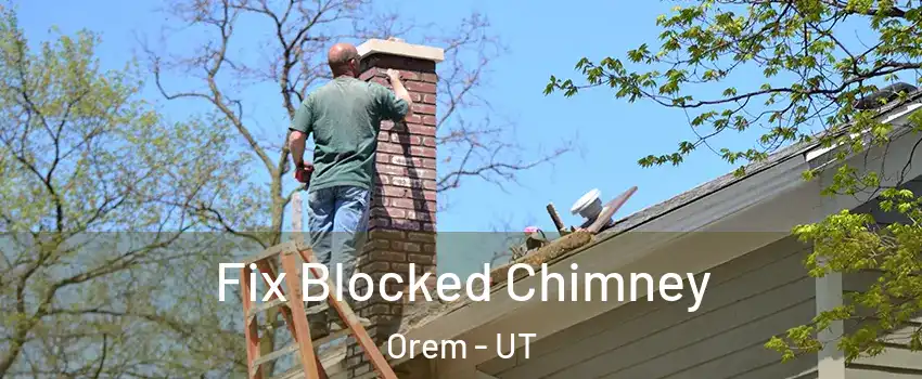  Fix Blocked Chimney Orem - UT