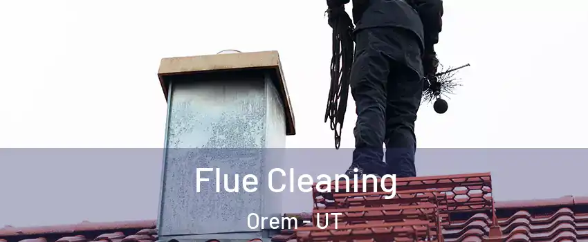  Flue Cleaning Orem - UT