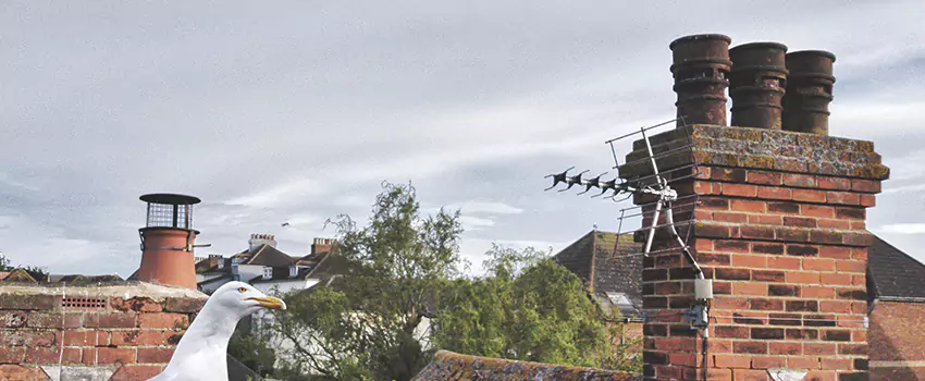 Chimney Cleaning And Restoration in Orem, Utah