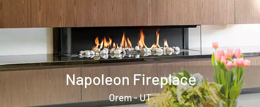  Napoleon Fireplace Orem - UT